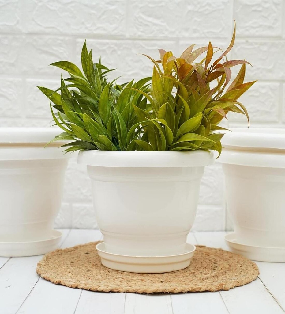 White ceramic pot